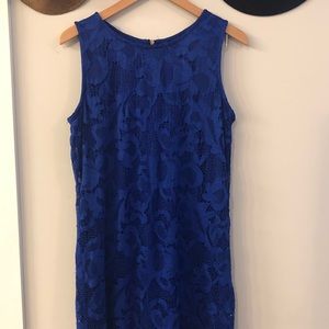 Blue Lace shift dress